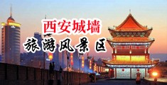 黄片wwwww.中国陕西-西安城墙旅游风景区